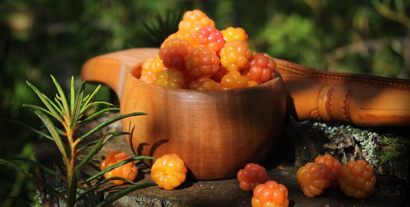 Swedish Skincare Ingredients Cloudberry Picture